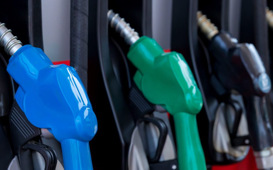 Study shows gas prices linked to rise in EV popularity