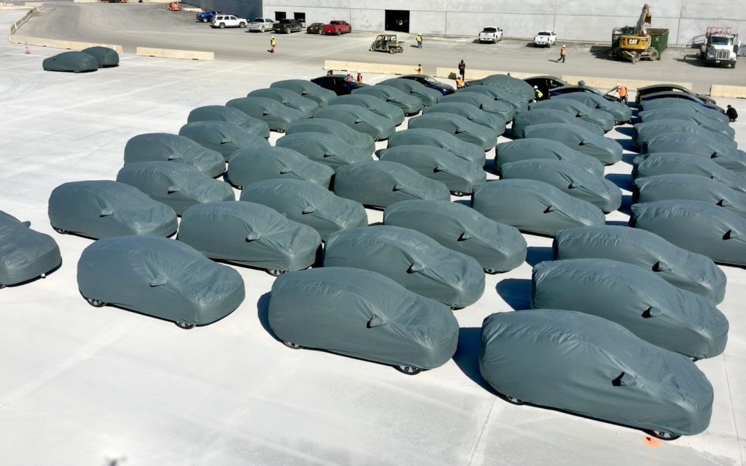 Spotted: Dozens of Tesla Model Ys at Texas Gigafactory