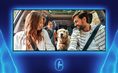 It’s official: Even dogs like electric vehicles!