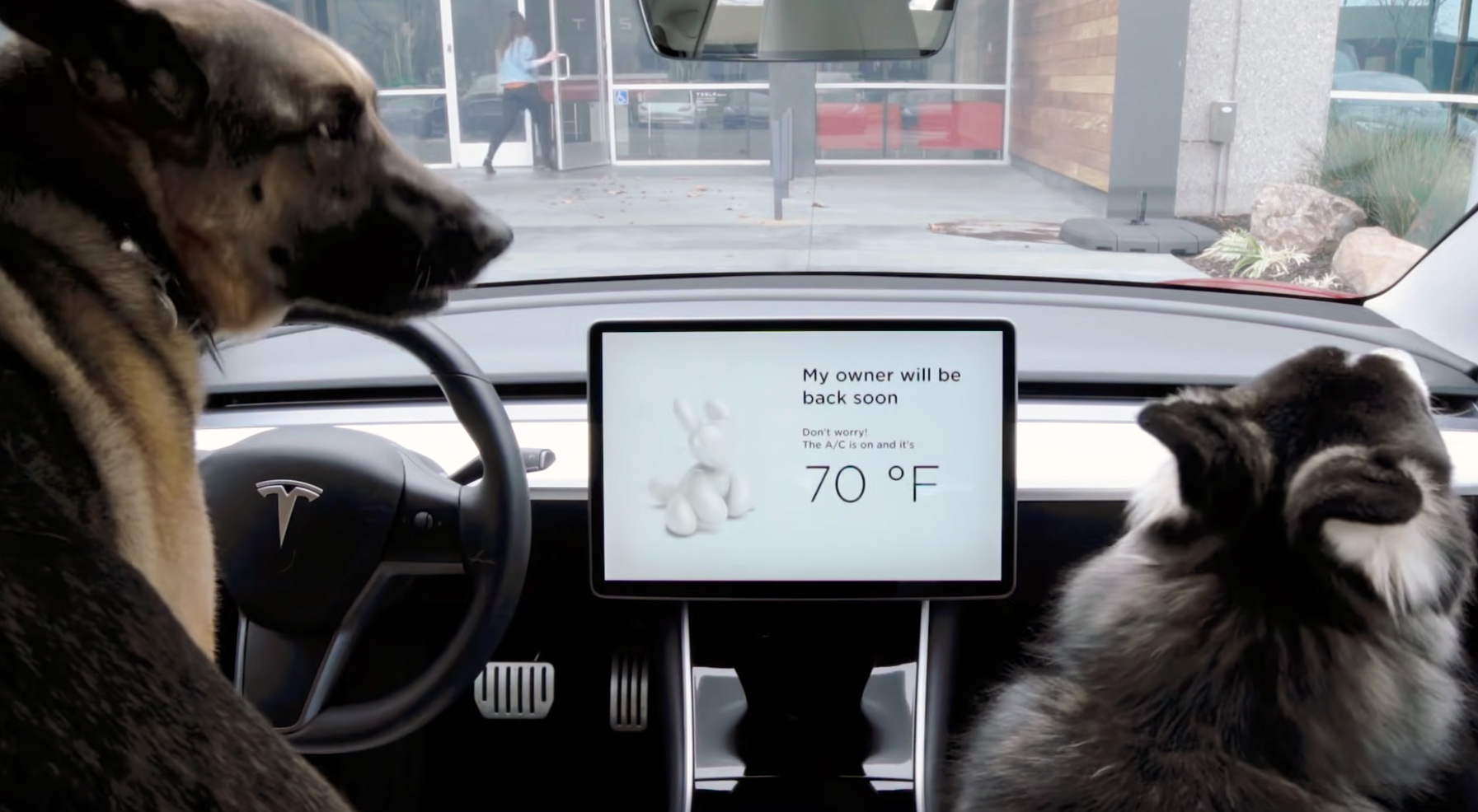 Tesla's Dog Mode